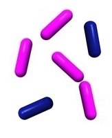 gram-negative and gram-positive rods